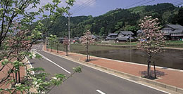 花みずき通り